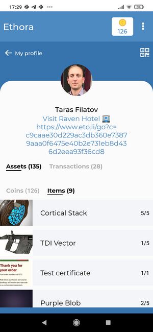 Profile screen showing Items in User's wallet including our freshly minted NFT